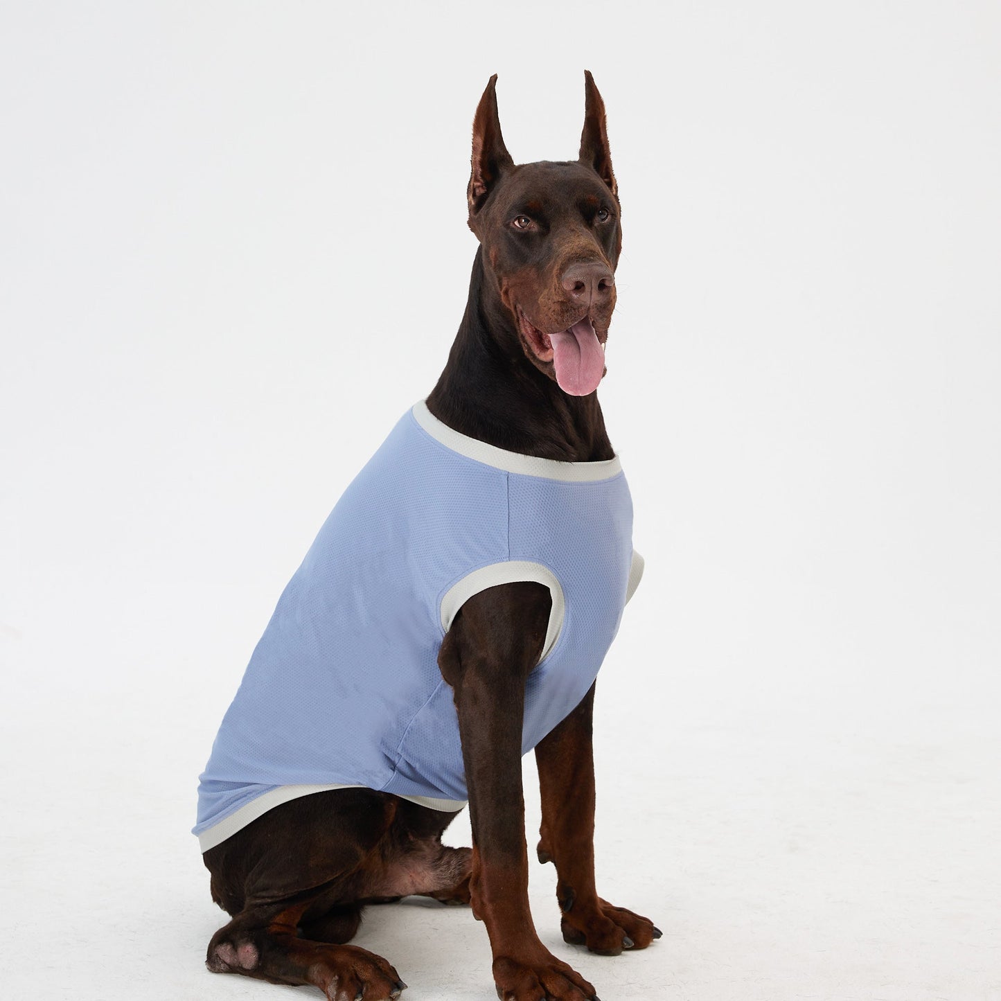 Elastic Ultrathin Dog Cooling Vest - Blue