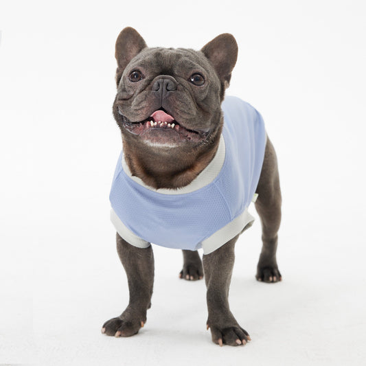 Elastic Ultrathin Dog Cooling Vest - Blue