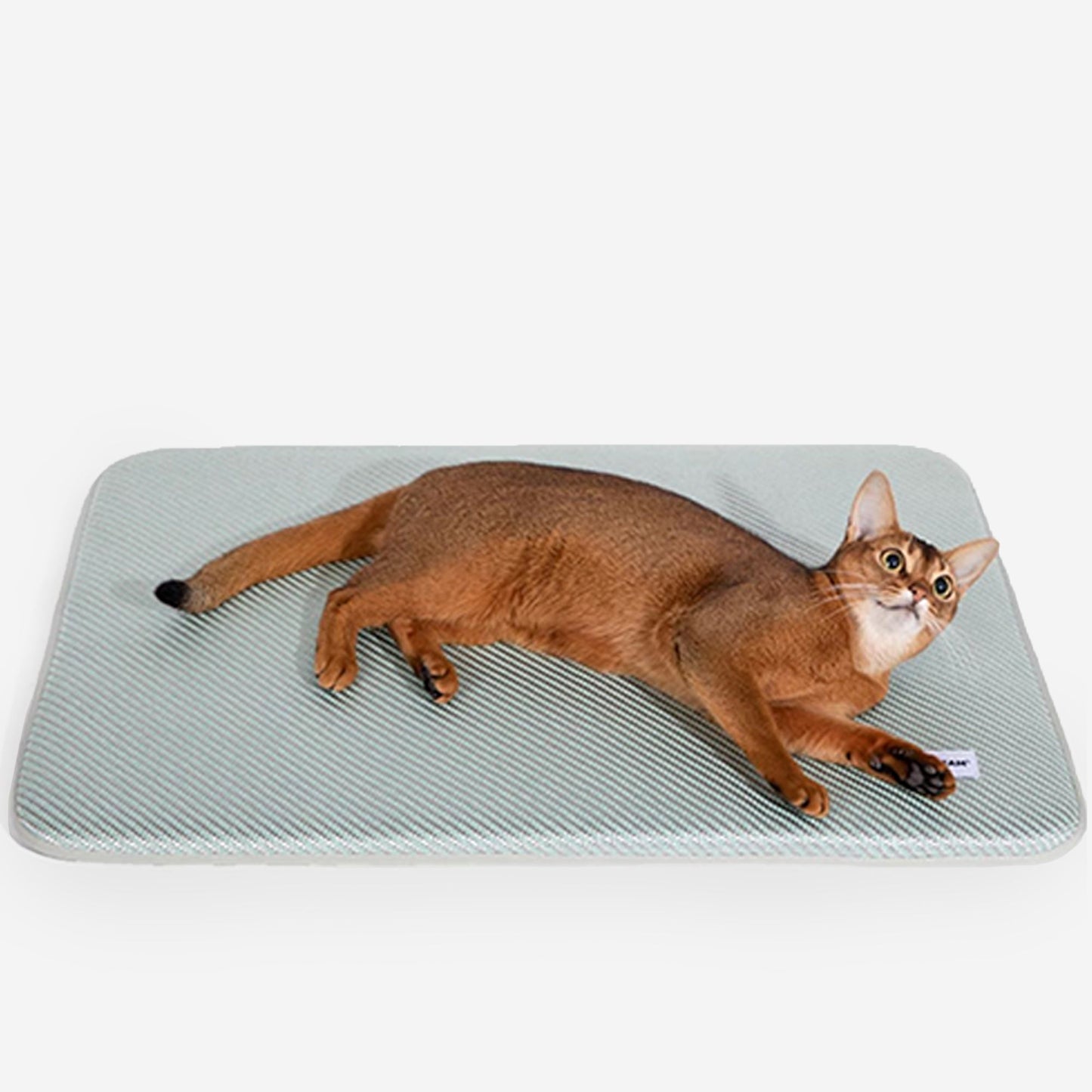 Easy Clean Ice Silk Dog Cooling Mat